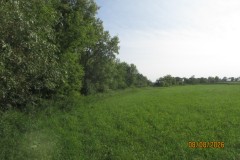 IMG_3740
