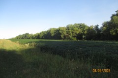 IMG_3755