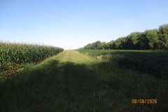 IMG_3756
