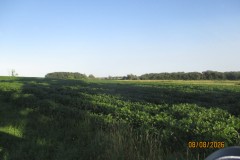 IMG_3785
