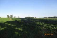 IMG_3786